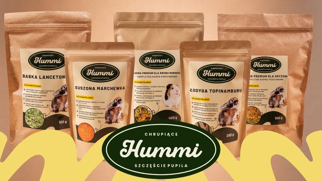 JAK KARMIĆ GRYZONIE? PORADNIK DLA OPIEKUNÓW