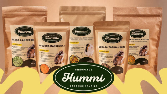 JAK KARMIĆ GRYZONIE? PORADNIK DLA OPIEKUNÓW