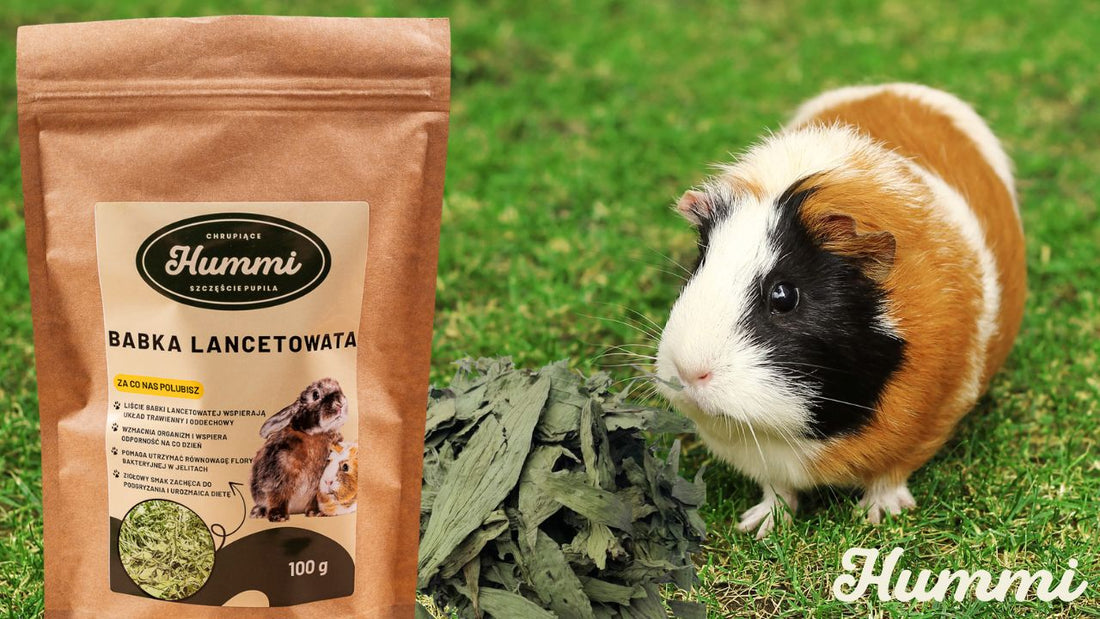 CIEKAWOSTKI O NASZYCH PRODUKTACH I ZWIERZAKACH