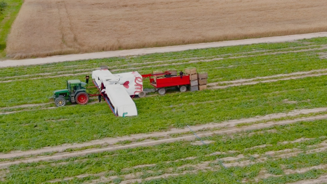 DLACZEGO NASZA KARMA DOBRZE WPŁYWA NA TWOJEGO PUPILA