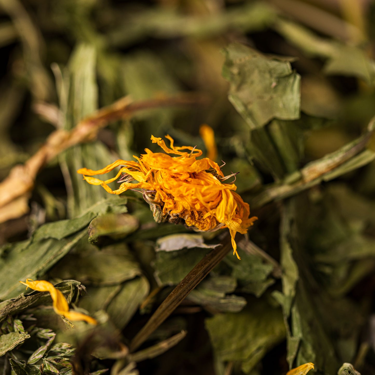 Pokarm premium dla gryzoni 500 g